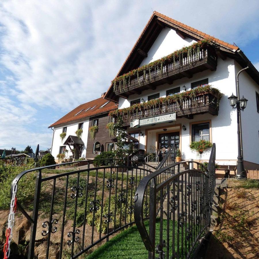 Hotel-Pension Flechsig Hartmannsdorf bei Kirchberg Exterior foto